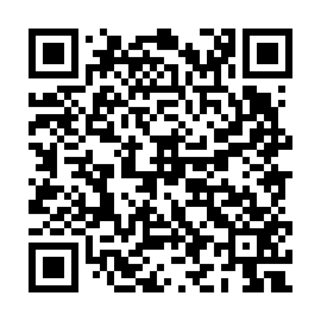 QR code for PI8653