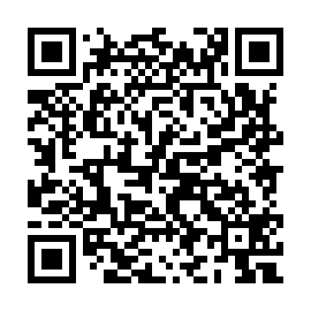 QR code for PI8919