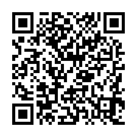 QR code for PI8991