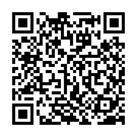 QR code for PI9228