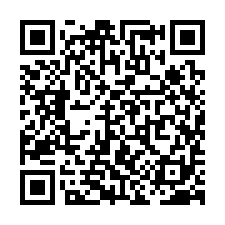 QR code for PI9391