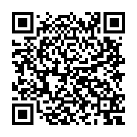 QR code for PI9521