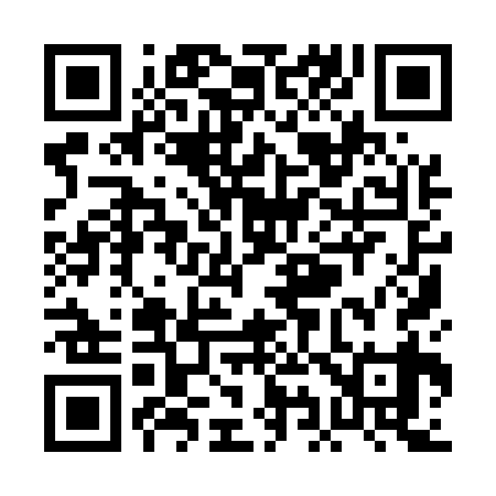 QR code for PI9539