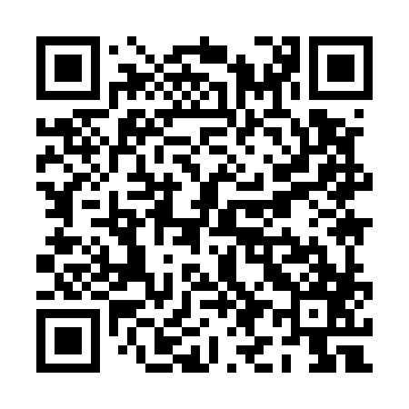 QR code for PI9587
