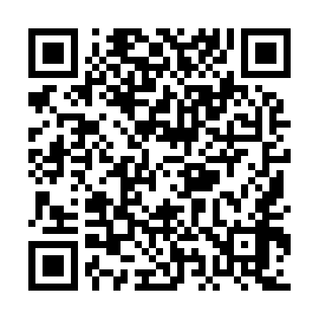 QR code for PI9958