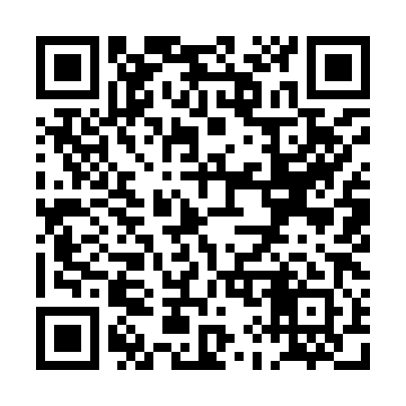 QR code for PI9981