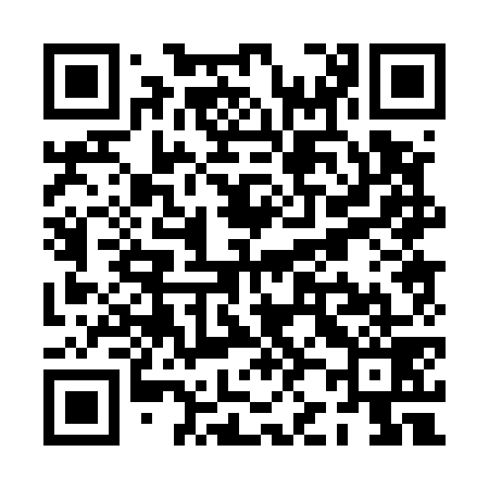 QR code for PJ0579