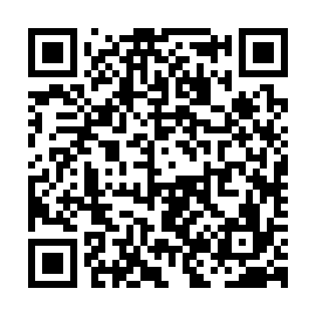 QR code for PJ2336