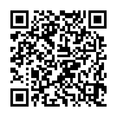 QR code for PK0383