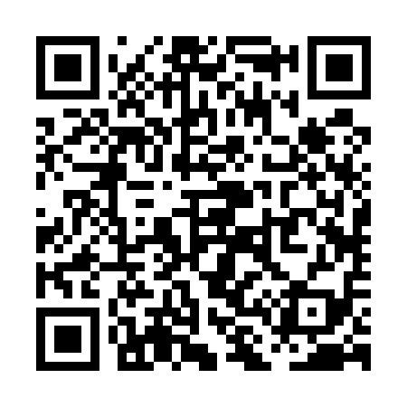QR code for PL2519