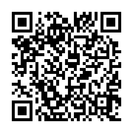 QR code for PL6317