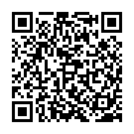 QR code for PL9111