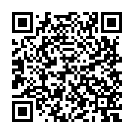 QR code for PM2953