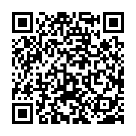 QR code for PN0339