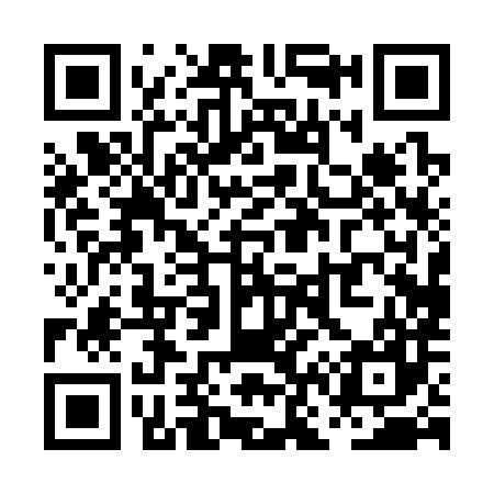 QR code for PN0387