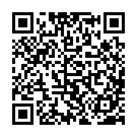QR code for PO0385