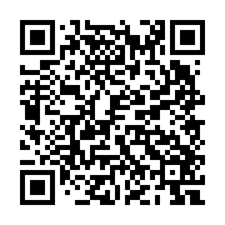 QR code for PO0646