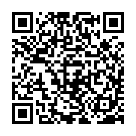 QR code for PO2991