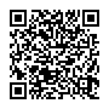 QR code for PP2768