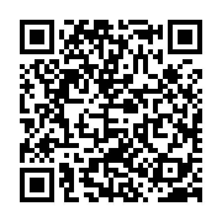 QR code for PP2939