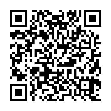 QR code for PP3165