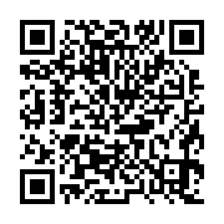 QR code for PP3271
