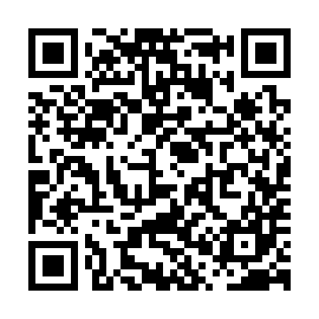 QR code for PP3387