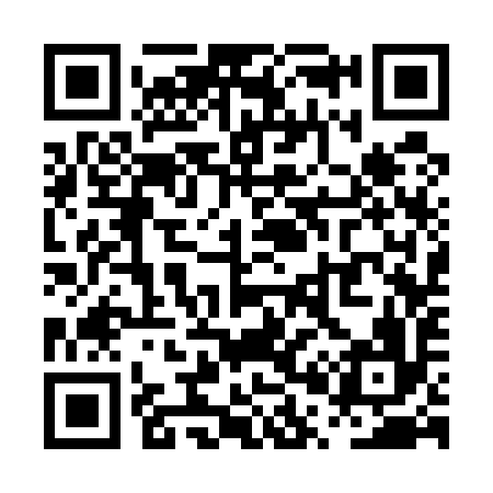 QR code for PP3596