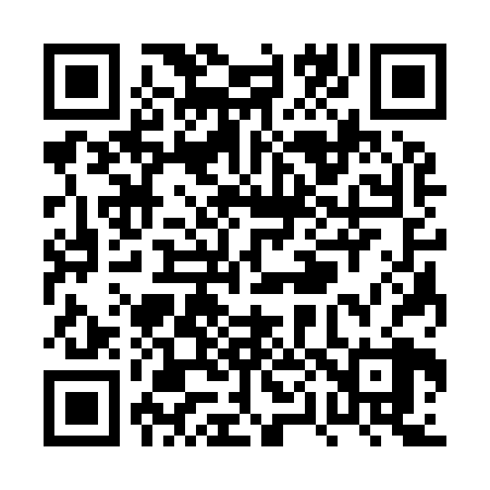 QR code for PP3928