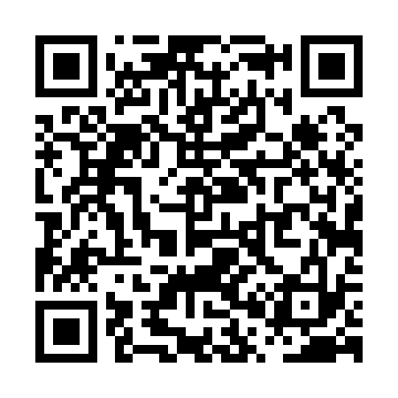 QR code for PP4133