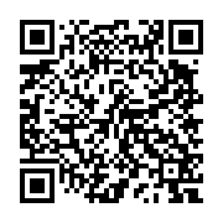 QR code for PP5462