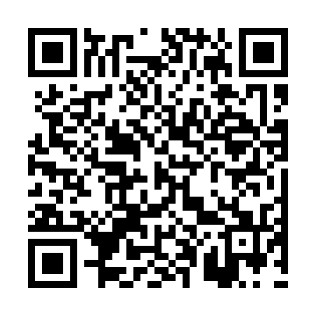 QR code for PP6131