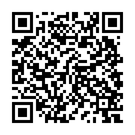 QR code for PP6603
