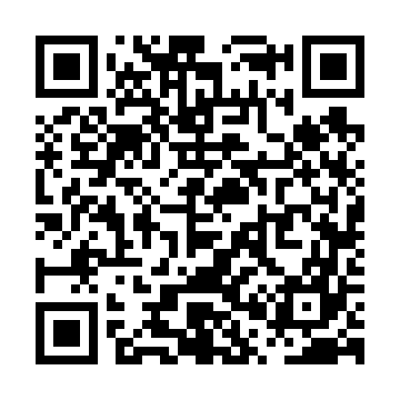 QR code for PP6667
