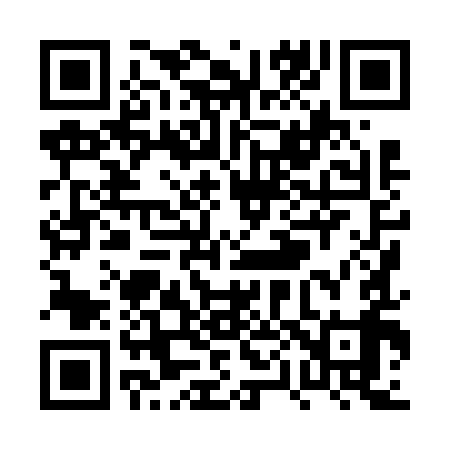 QR code for PP8699