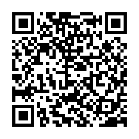 QR code for PP9119
