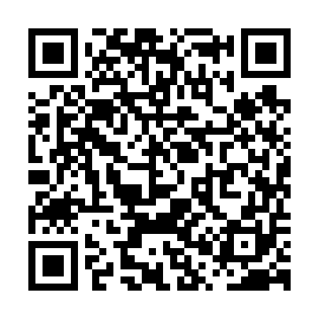 QR code for PP9650
