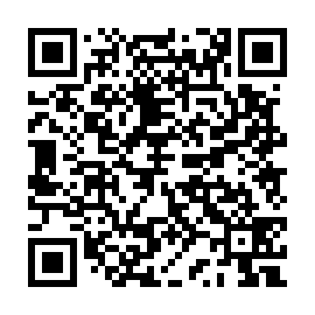 QR code for PR0539