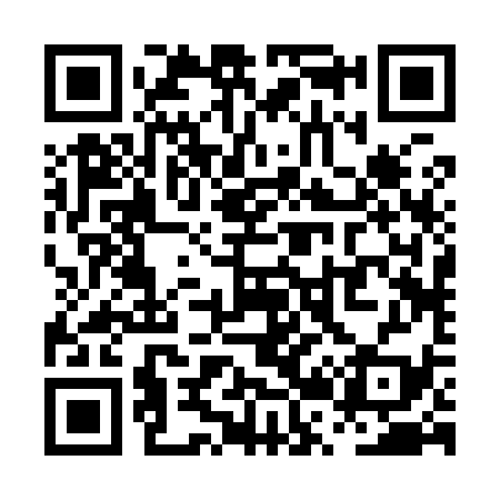 QR code for PR2939