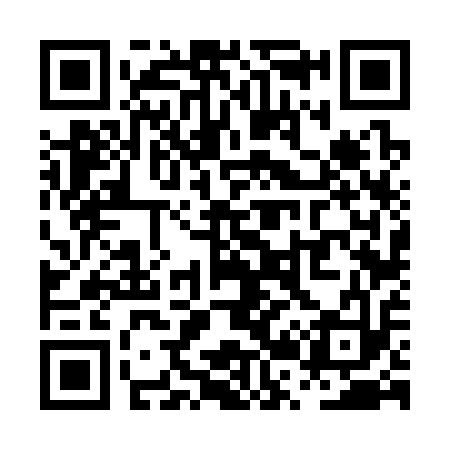 QR code for PR6313