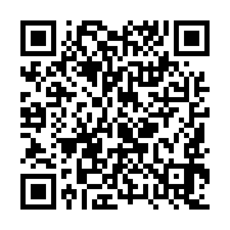 QR code for PR9593