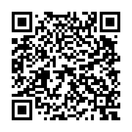 QR code for PS0413