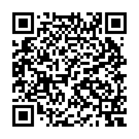 QR code for PS1291