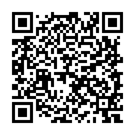 QR code for PS4991