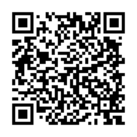 QR code for PT0489