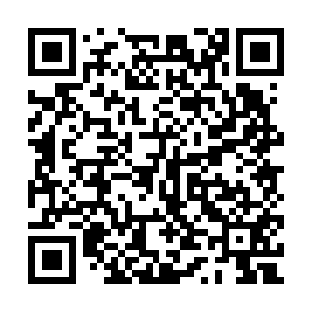 QR code for PT0651