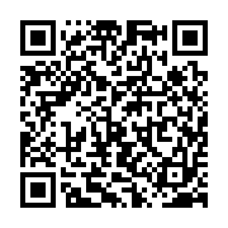 QR code for PT1313