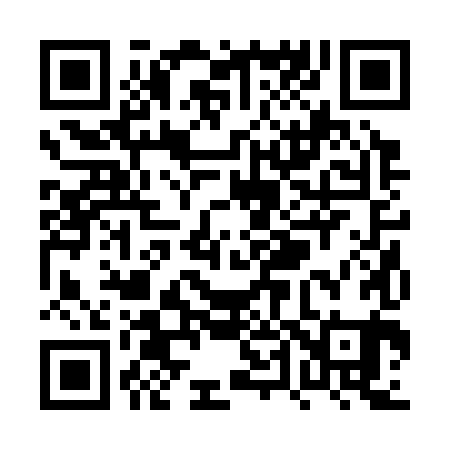 QR code for PT2381