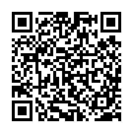 QR code for PT8687