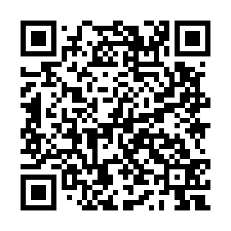 QR code for PT9533